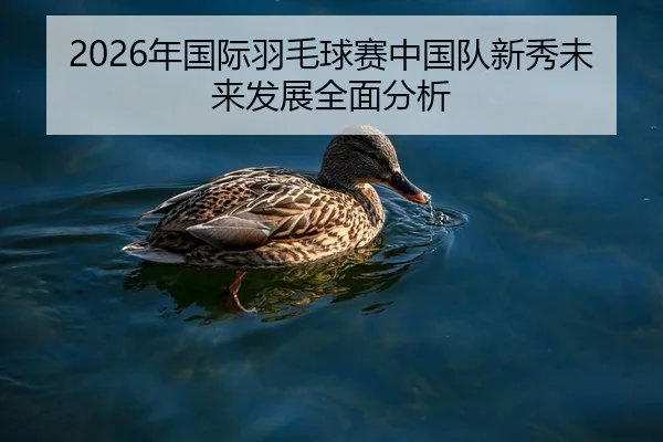 2026年国际羽毛球赛中国队新秀未来发展全面分析