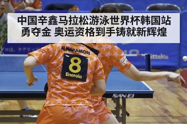 中国辛鑫马拉松游泳世界杯韩国站勇夺金 奥运资格到手铸就新辉煌